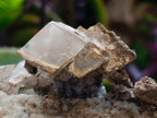 Natural Large Rhombohedral Calcite Specimen with Phosphorus Aragonite x 1 From Albert's Mountain, Lesotho - Toprock Gemstones and Minerals 