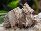 Natural Large Rhombohedral Calcite Specimen with Phosphorus Aragonite x 1 From Albert's Mountain, Lesotho - Toprock Gemstones and Minerals 