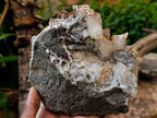 Natural Large Rhombohedral Calcite Specimen with Phosphorus Aragonite x 1 From Albert's Mountain, Lesotho - Toprock Gemstones and Minerals 