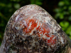 Polished Henties Bay Flower Jasper Standing Display Pieces x 3 From Namibia - Toprock Gemstones and Minerals 
