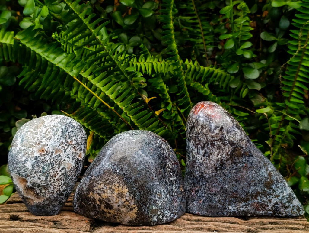 Polished Henties Bay Flower Jasper Standing Display Pieces x 3 From Namibia - Toprock Gemstones and Minerals 