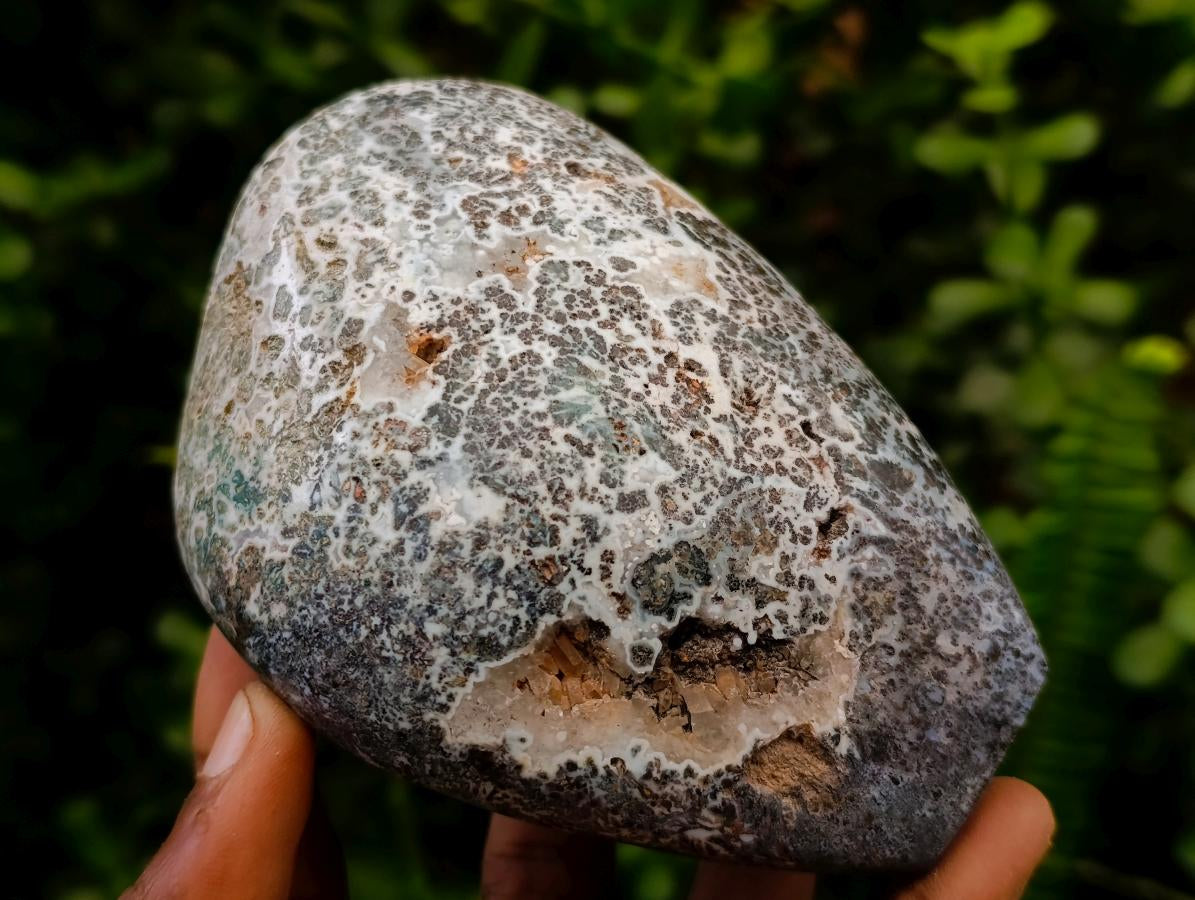 Polished Henties Bay Flower Jasper Standing Display Pieces x 3 From Namibia - Toprock Gemstones and Minerals 