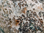 Polished Henties Bay Flower Jasper Standing Display Pieces x 3 From Namibia - Toprock Gemstones and Minerals 