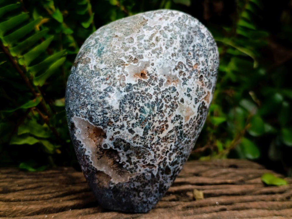 Polished Henties Bay Flower Jasper Standing Display Pieces x 3 From Namibia - Toprock Gemstones and Minerals 