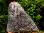 Polished Henties Bay Flower Jasper Standing Display Pieces x 3 From Namibia - Toprock Gemstones and Minerals 