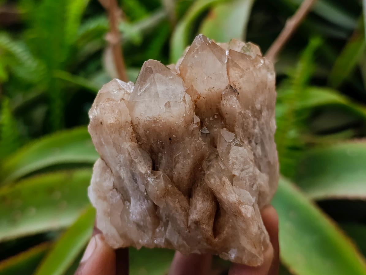 Natural Cascading White Phantom Smokey Luena Quartz Clusters x 4 From Luena, Congo - Toprock Gemstones and Minerals 
