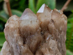 Natural Cascading White Phantom Smokey Luena Quartz Clusters x 4 From Luena, Congo - Toprock Gemstones and Minerals 