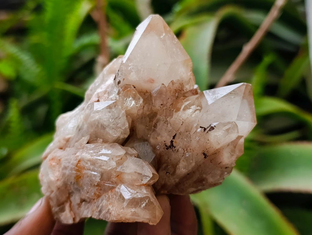 Natural Cascading White Phantom Smokey Luena Quartz Clusters x 4 From Luena, Congo - Toprock Gemstones and Minerals 