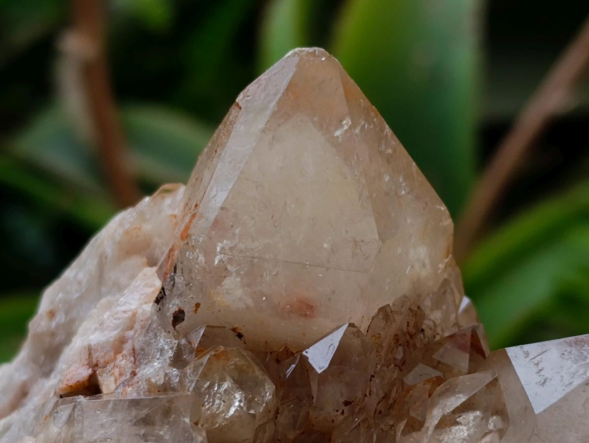 Natural Cascading White Phantom Smokey Luena Quartz Clusters x 4 From Luena, Congo - Toprock Gemstones and Minerals 