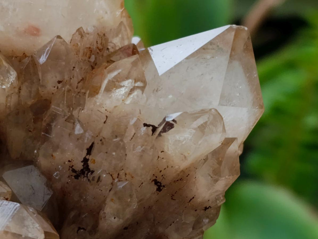 Natural Cascading White Phantom Smokey Luena Quartz Clusters x 4 From Luena, Congo - Toprock Gemstones and Minerals 