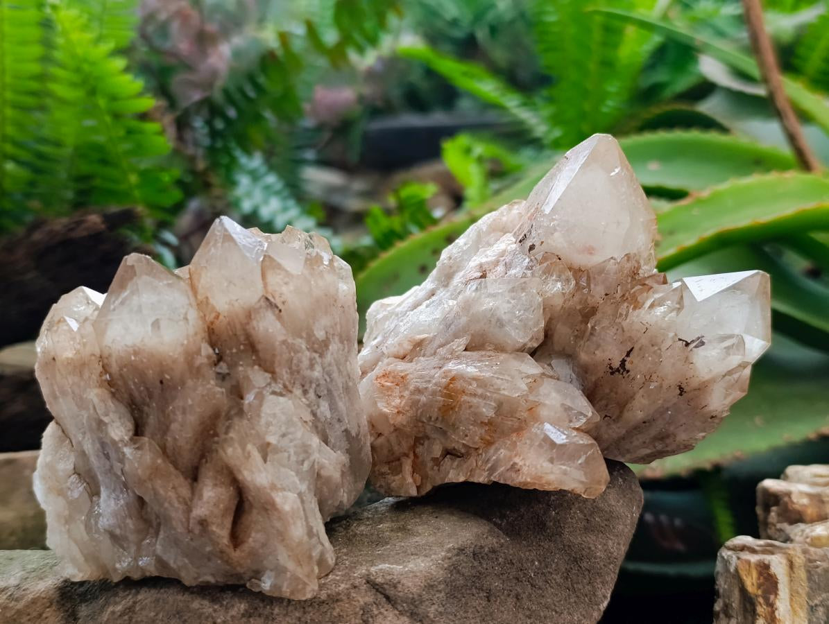 Natural Cascading White Phantom Smokey Luena Quartz Clusters x 4 From Luena, Congo - Toprock Gemstones and Minerals 