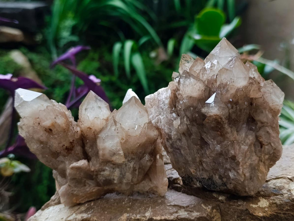 Natural Cascading White Phantom Smokey Luena Quartz Clusters x 4 From Luena, Congo - Toprock Gemstones and Minerals 
