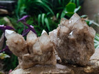 Natural Cascading White Phantom Smokey Luena Quartz Clusters x 4 From Luena, Congo - Toprock Gemstones and Minerals 