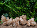 Natural Cascading White Phantom Smokey Luena Quartz Clusters x 4 From Luena, Congo - Toprock Gemstones and Minerals 