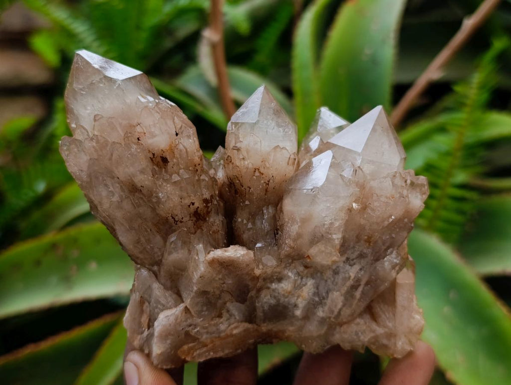 Natural Cascading White Phantom Smokey Luena Quartz Clusters x 4 From Luena, Congo - Toprock Gemstones and Minerals 