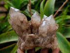 Natural Cascading White Phantom Smokey Luena Quartz Clusters x 4 From Luena, Congo - Toprock Gemstones and Minerals 