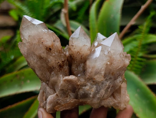Natural Cascading White Phantom Smokey Luena Quartz Clusters x 4 From Luena, Congo - Toprock Gemstones and Minerals 
