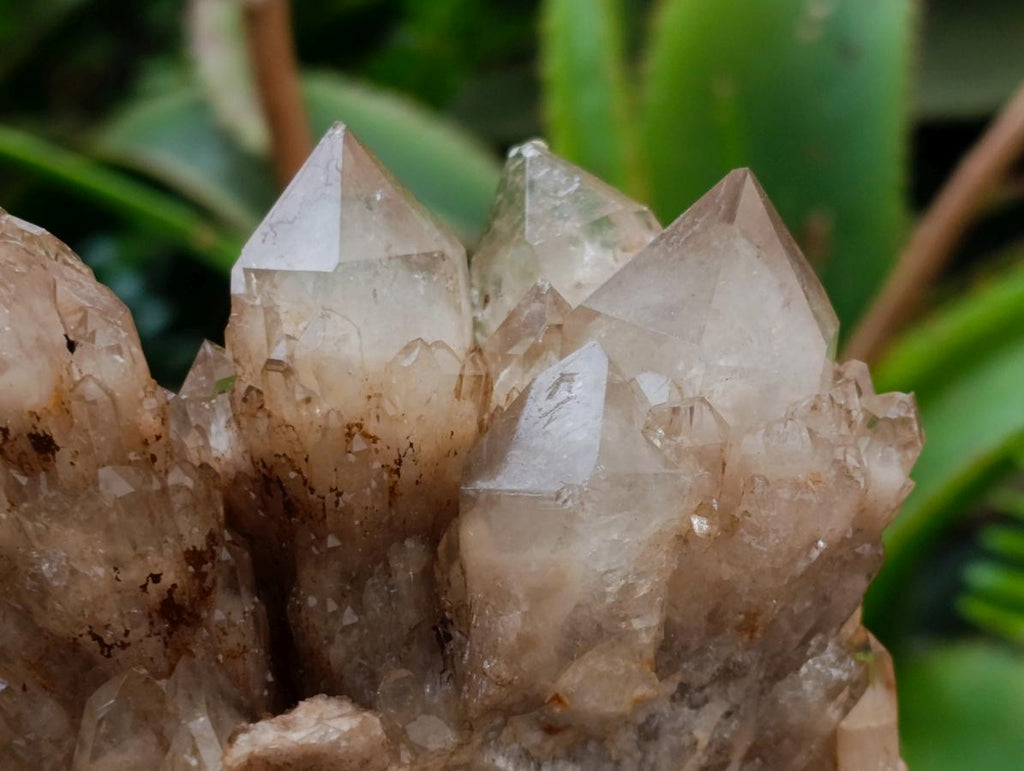 Natural Cascading White Phantom Smokey Luena Quartz Clusters x 4 From Luena, Congo - Toprock Gemstones and Minerals 