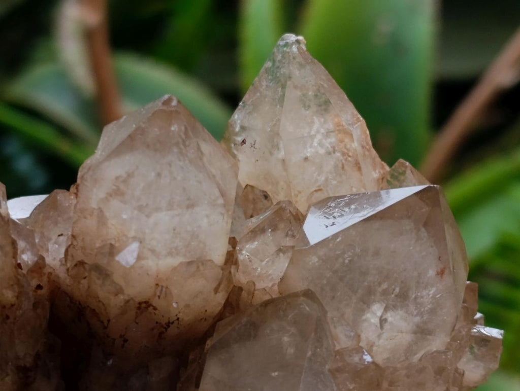 Natural Cascading White Phantom Smokey Luena Quartz Clusters x 4 From Luena, Congo - Toprock Gemstones and Minerals 