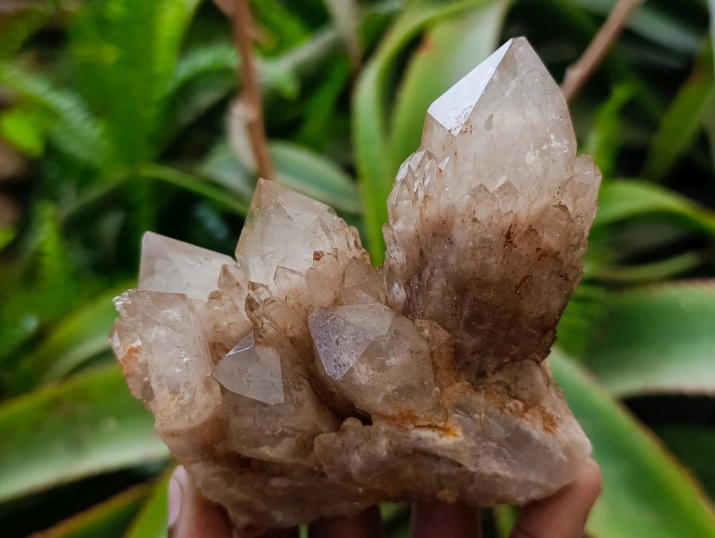 Natural Cascading White Phantom Smokey Luena Quartz Clusters x 4 From Luena, Congo - Toprock Gemstones and Minerals 