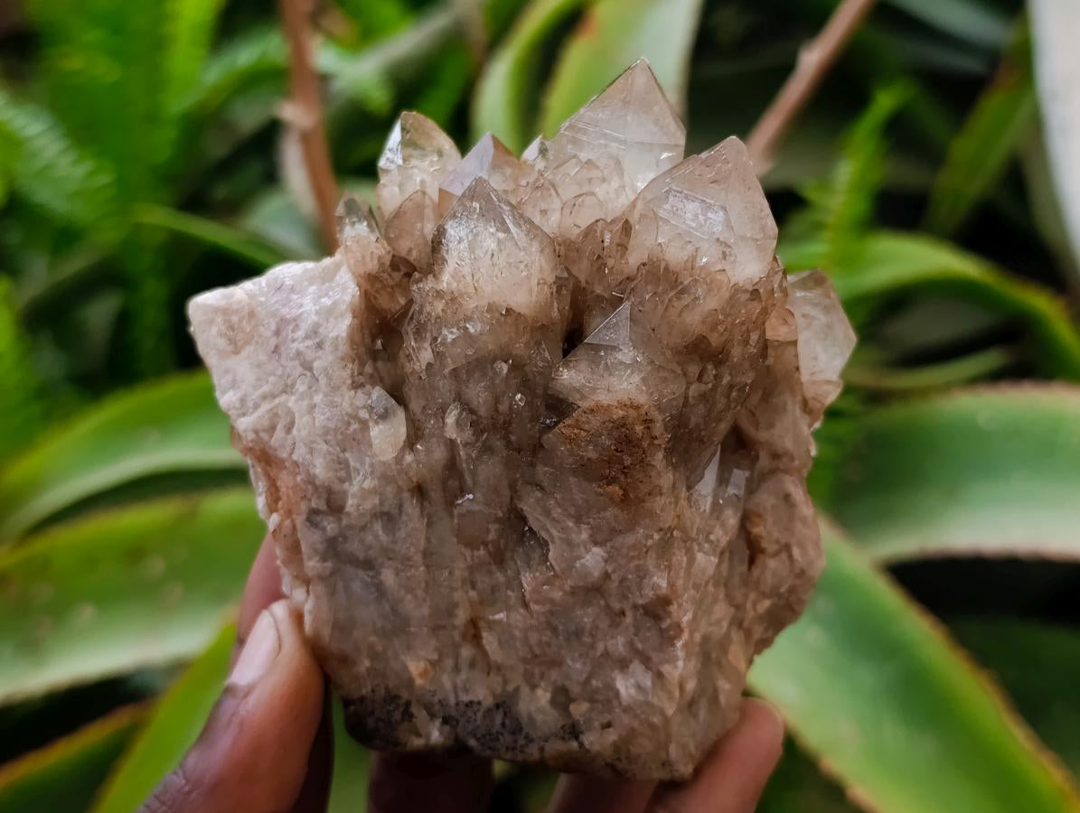 Natural Cascading White Phantom Smokey Luena Quartz Clusters x 4 From Luena, Congo - Toprock Gemstones and Minerals 