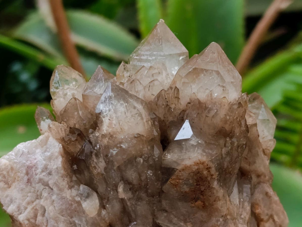 Natural Cascading White Phantom Smokey Luena Quartz Clusters x 4 From Luena, Congo - Toprock Gemstones and Minerals 
