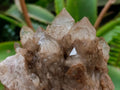 Natural Cascading White Phantom Smokey Luena Quartz Clusters x 4 From Luena, Congo - Toprock Gemstones and Minerals 