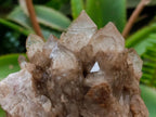 Natural Cascading White Phantom Smokey Luena Quartz Clusters x 4 From Luena, Congo - Toprock Gemstones and Minerals 