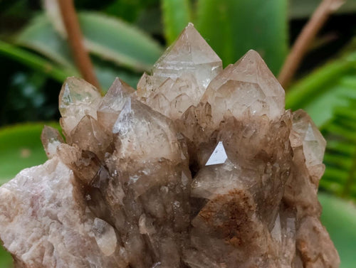 Natural Cascading White Phantom Smokey Luena Quartz Clusters x 4 From Luena, Congo - Toprock Gemstones and Minerals 