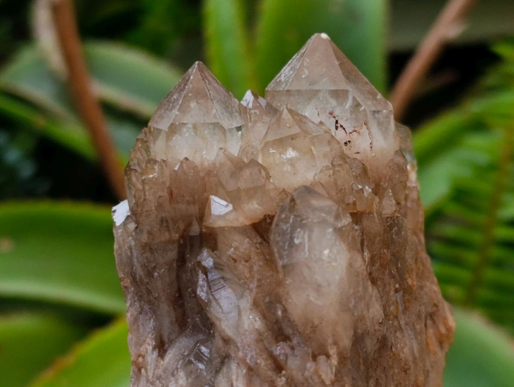 Natural Cascading White Phantom Smokey Luena Quartz Clusters x 4 From Luena, Congo - Toprock Gemstones and Minerals 