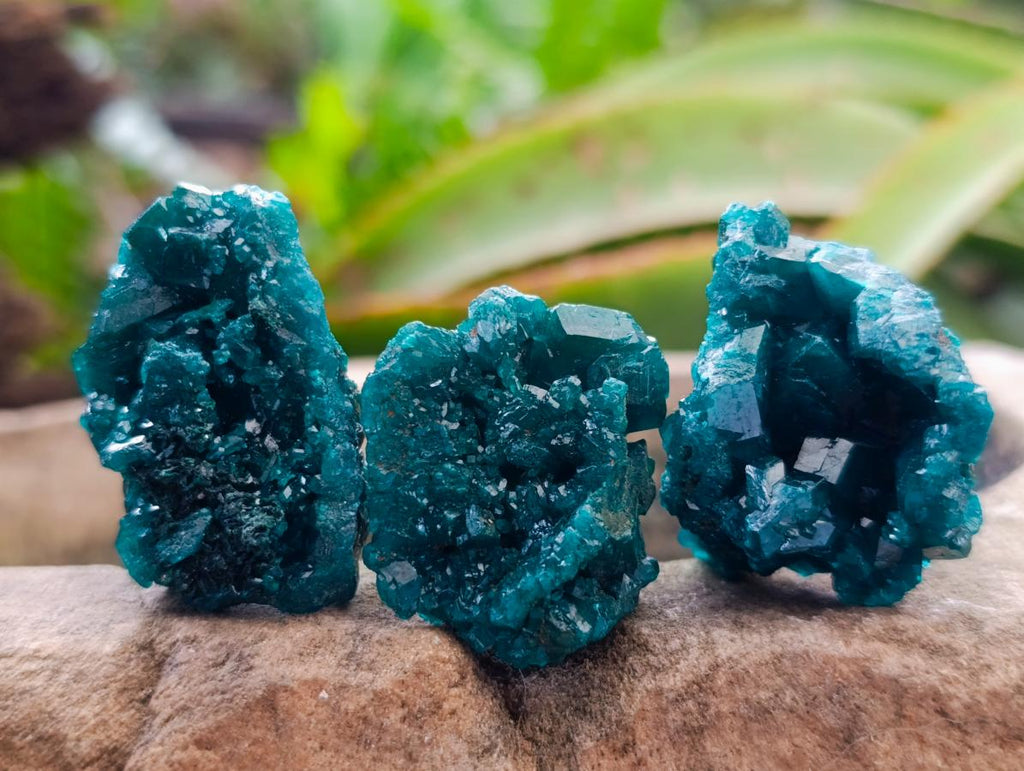 Natural Small Dioptase Specimens on Dolomite Matrix x 12 From Tantara Mine, Congo - Toprock Gemstones and Minerals 