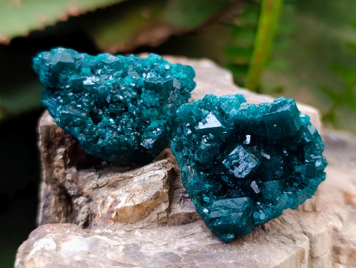 Natural Small Dioptase Specimens on Dolomite Matrix x 12 From Tantara Mine, Congo - Toprock Gemstones and Minerals 