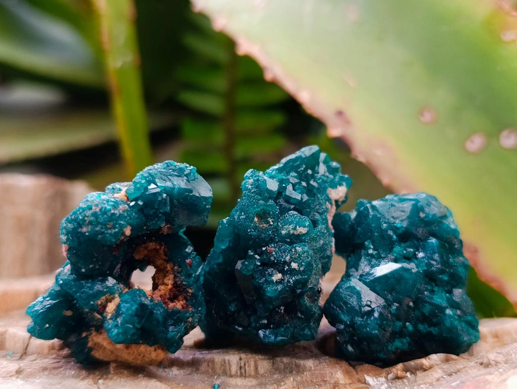 Natural Small Dioptase Specimens on Dolomite Matrix x 12 From Tantara Mine, Congo - Toprock Gemstones and Minerals 