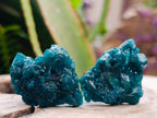 Natural Small Dioptase Specimens on Dolomite Matrix x 12 From Tantara Mine, Congo - Toprock Gemstones and Minerals 