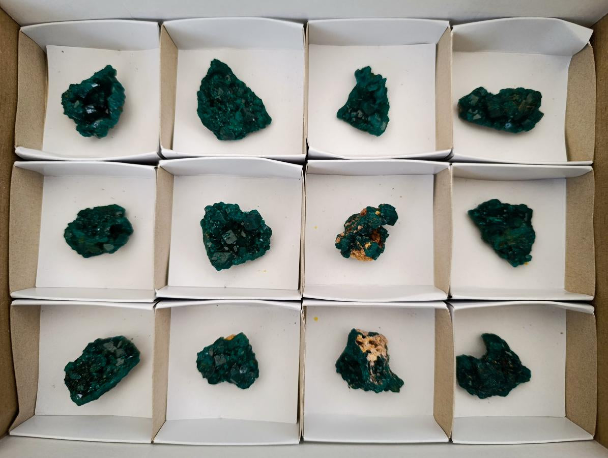 Natural Small Dioptase Specimens on Dolomite Matrix x 12 From Tantara Mine, Congo - Toprock Gemstones and Minerals 