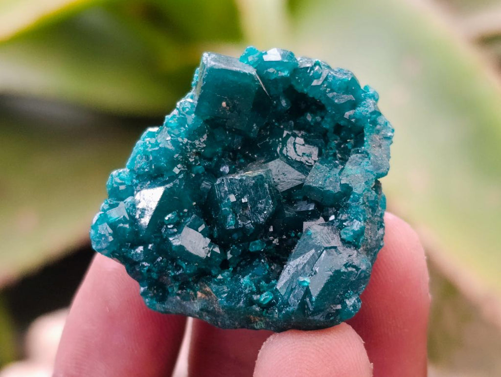 Natural Small Dioptase Specimens on Dolomite Matrix x 12 From Tantara Mine, Congo - Toprock Gemstones and Minerals 