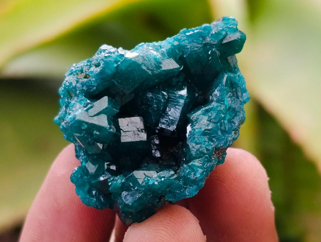 Natural Small Dioptase Specimens on Dolomite Matrix x 12 From Tantara Mine, Congo - Toprock Gemstones and Minerals 