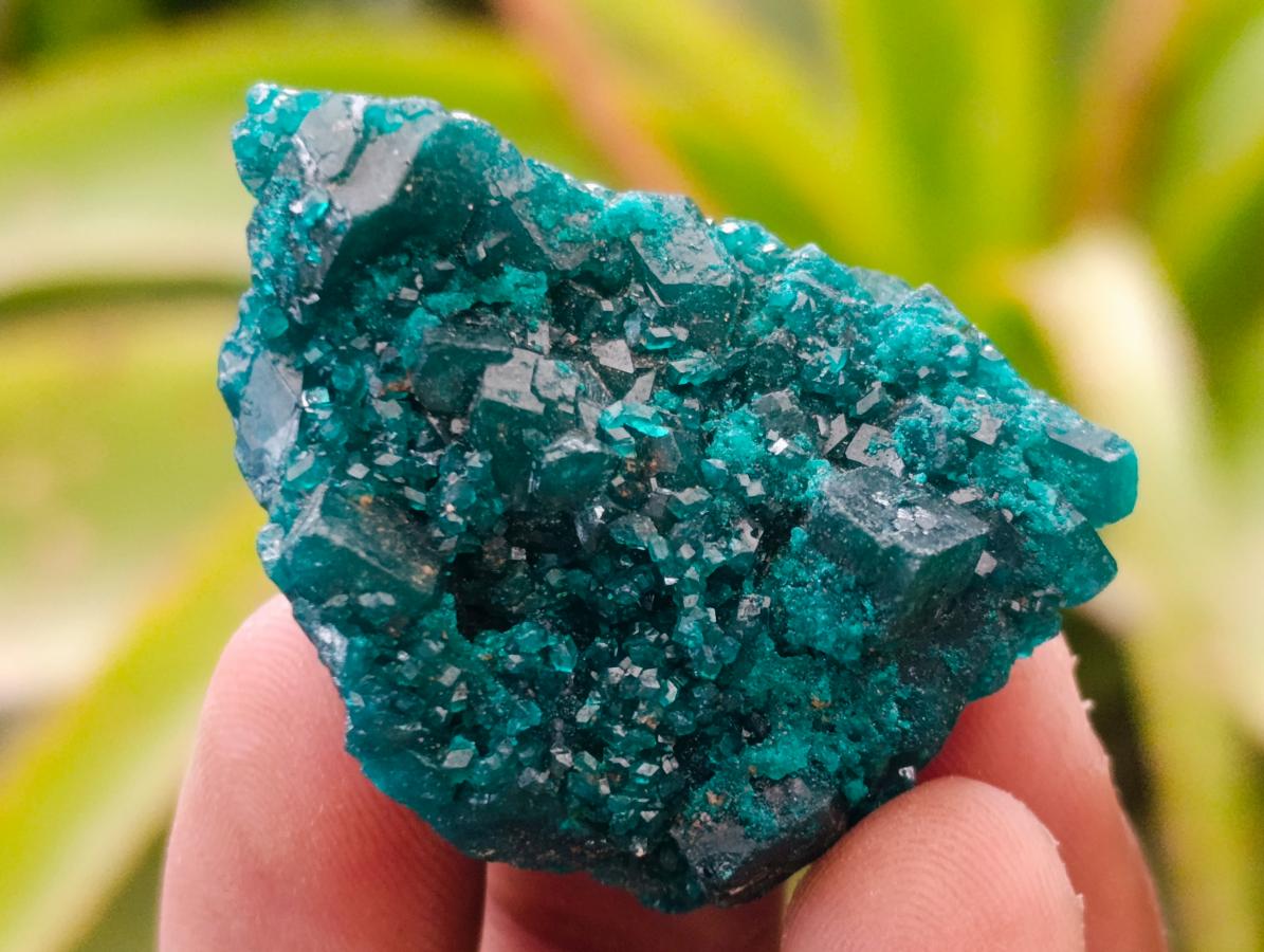 Natural Small Dioptase Specimens on Dolomite Matrix x 12 From Tantara Mine, Congo - Toprock Gemstones and Minerals 