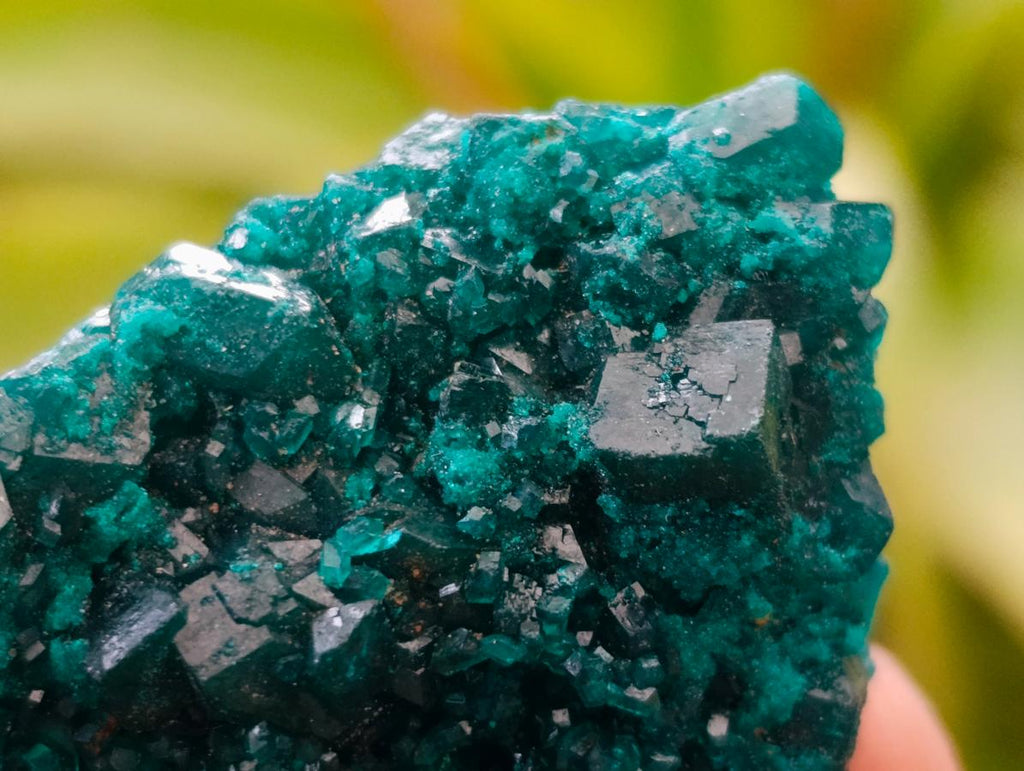 Natural Small Dioptase Specimens on Dolomite Matrix x 12 From Tantara Mine, Congo - Toprock Gemstones and Minerals 