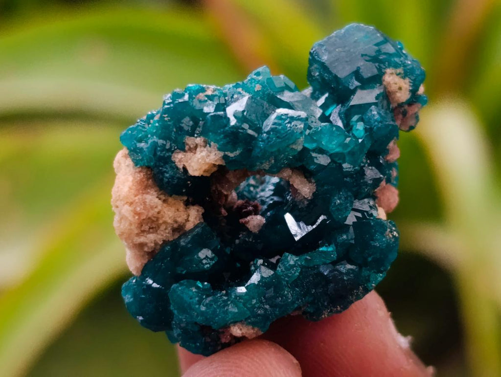 Natural Small Dioptase Specimens on Dolomite Matrix x 12 From Tantara Mine, Congo - Toprock Gemstones and Minerals 