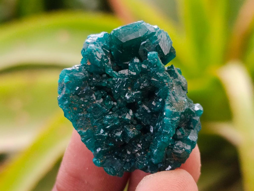 Natural Small Dioptase Specimens on Dolomite Matrix x 12 From Tantara Mine, Congo - Toprock Gemstones and Minerals 