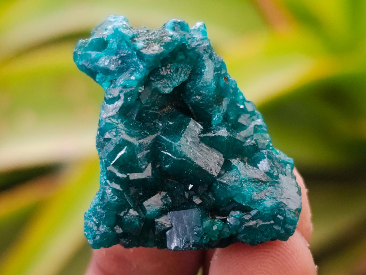 Natural Small Dioptase Specimens on Dolomite Matrix x 12 From Tantara Mine, Congo - Toprock Gemstones and Minerals 