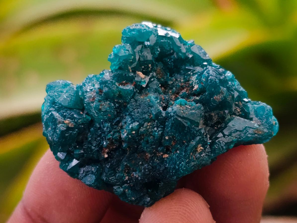 Natural Small Dioptase Specimens on Dolomite Matrix x 12 From Tantara Mine, Congo - Toprock Gemstones and Minerals 