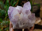 Natural Jacaranda Amethyst Clusters x 5 From Mumbwa, Zambia - Toprock Gemstones and Minerals 