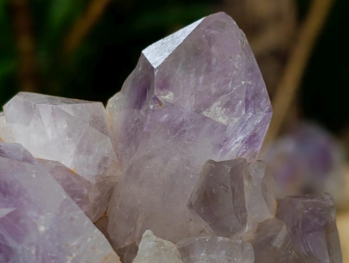 Natural Jacaranda Amethyst Clusters x 5 From Mumbwa, Zambia - Toprock Gemstones and Minerals 