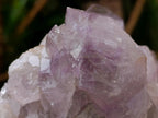 Natural Jacaranda Amethyst Clusters x 5 From Mumbwa, Zambia - Toprock Gemstones and Minerals 