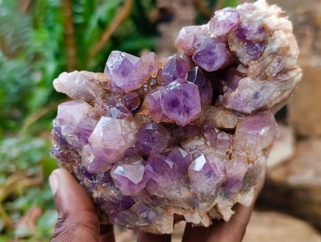 Natural Jacaranda Amethyst Clusters x 5 From Mumbwa, Zambia - Toprock Gemstones and Minerals 