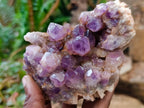 Natural Jacaranda Amethyst Clusters x 5 From Mumbwa, Zambia - Toprock Gemstones and Minerals 