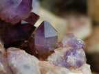 Natural Jacaranda Amethyst Clusters x 5 From Mumbwa, Zambia - Toprock Gemstones and Minerals 