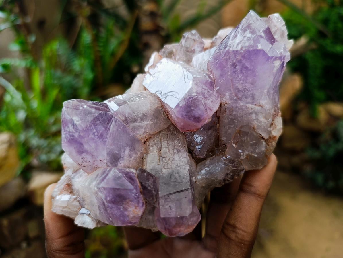 Natural Jacaranda Amethyst Clusters x 5 From Mumbwa, Zambia - Toprock Gemstones and Minerals 